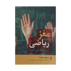 کتاب مغز چگونه ریاضی را یاد می گیرد